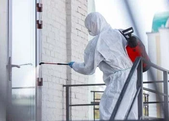 Odgrzybianie i Osuszanie Klubu Rozrywkowego – Realizacja z Dnia 28.08.2023