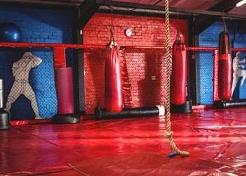 Odgrzybianie Sali MMA – Realizacja z Dnia 08.08.2024