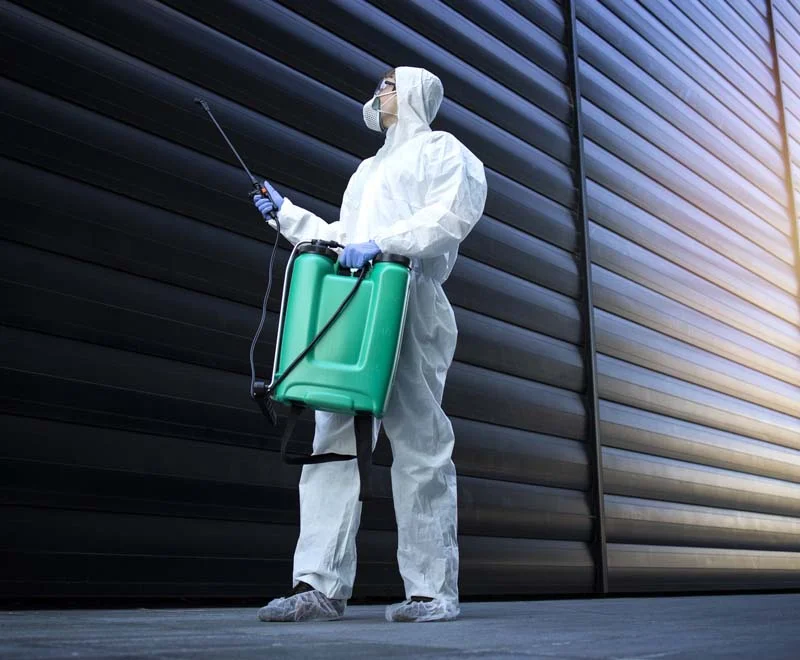 realizacja-zwalczanie-pluskiew-w-schronisku-realizacja-z-dnia-20-09-2023